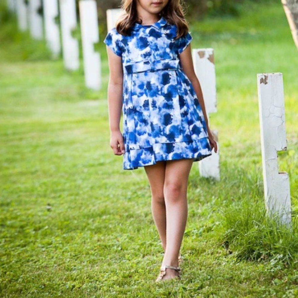 Florence Fancy Blue Printed Sabrina Dress size 10